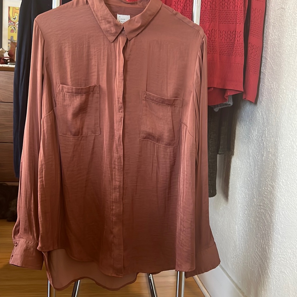 Copper Silk Button Up